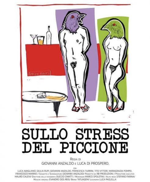 Sullo stress del piccione